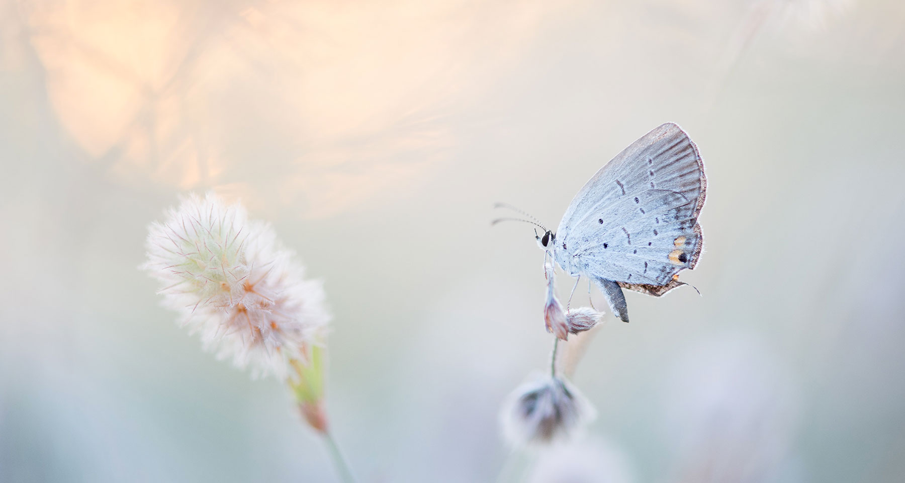 O'z kinésiologie cabinet à Tarnos